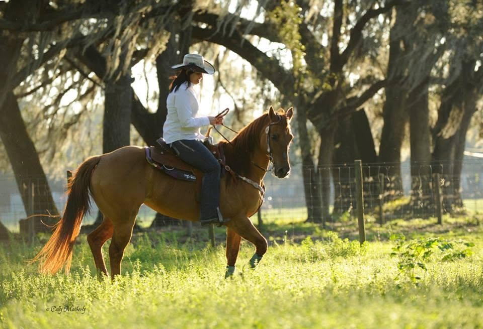 NBHAFL06- Let it Ride Ranch