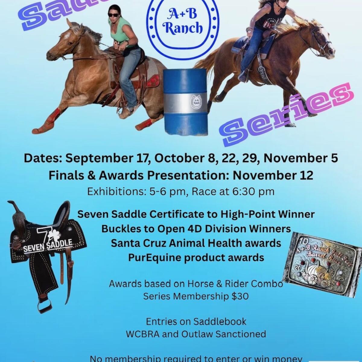 A+B Ranch Saddle Series flyer