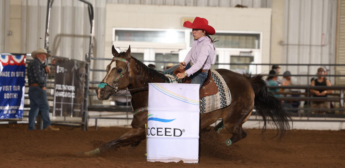 Roughrider LBR 4D Barrel Racing Jackpot