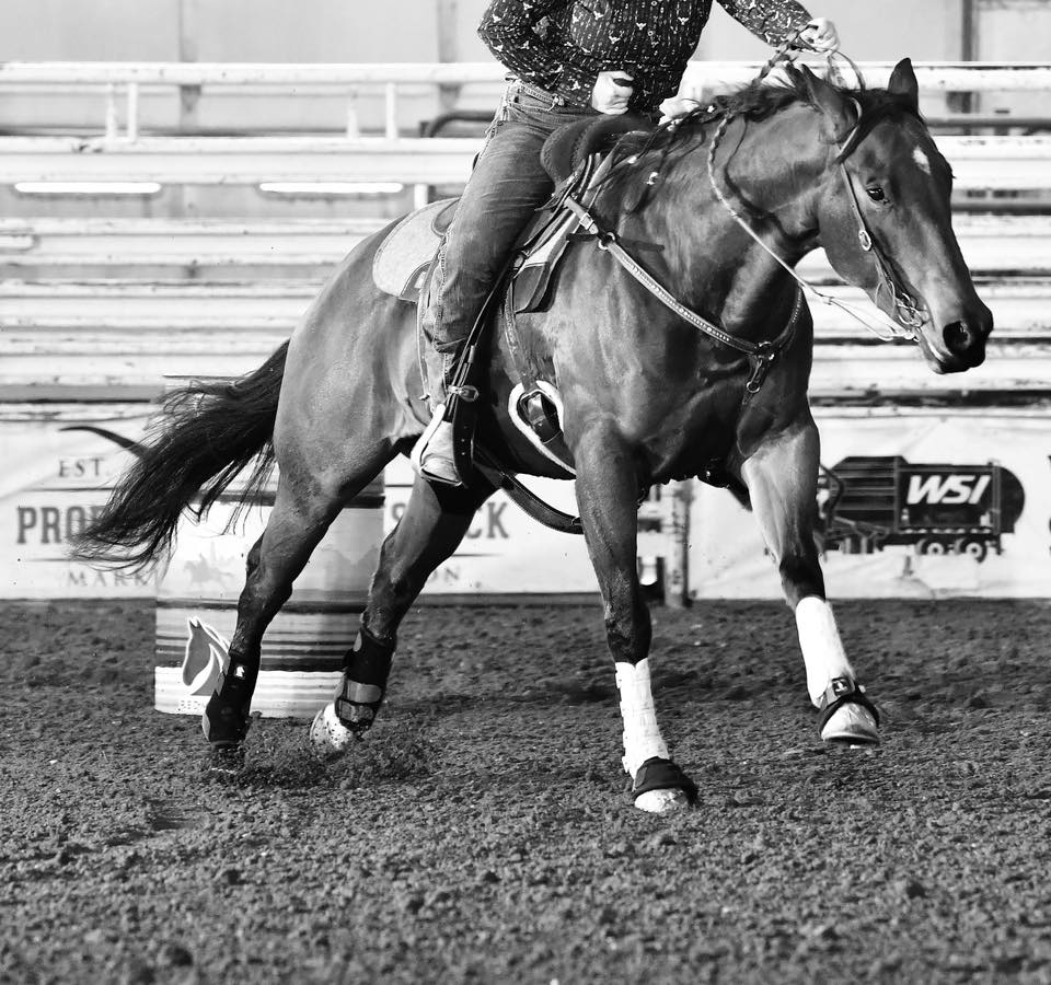 TOPAZ BARREL RACING 4D BARREL RACE